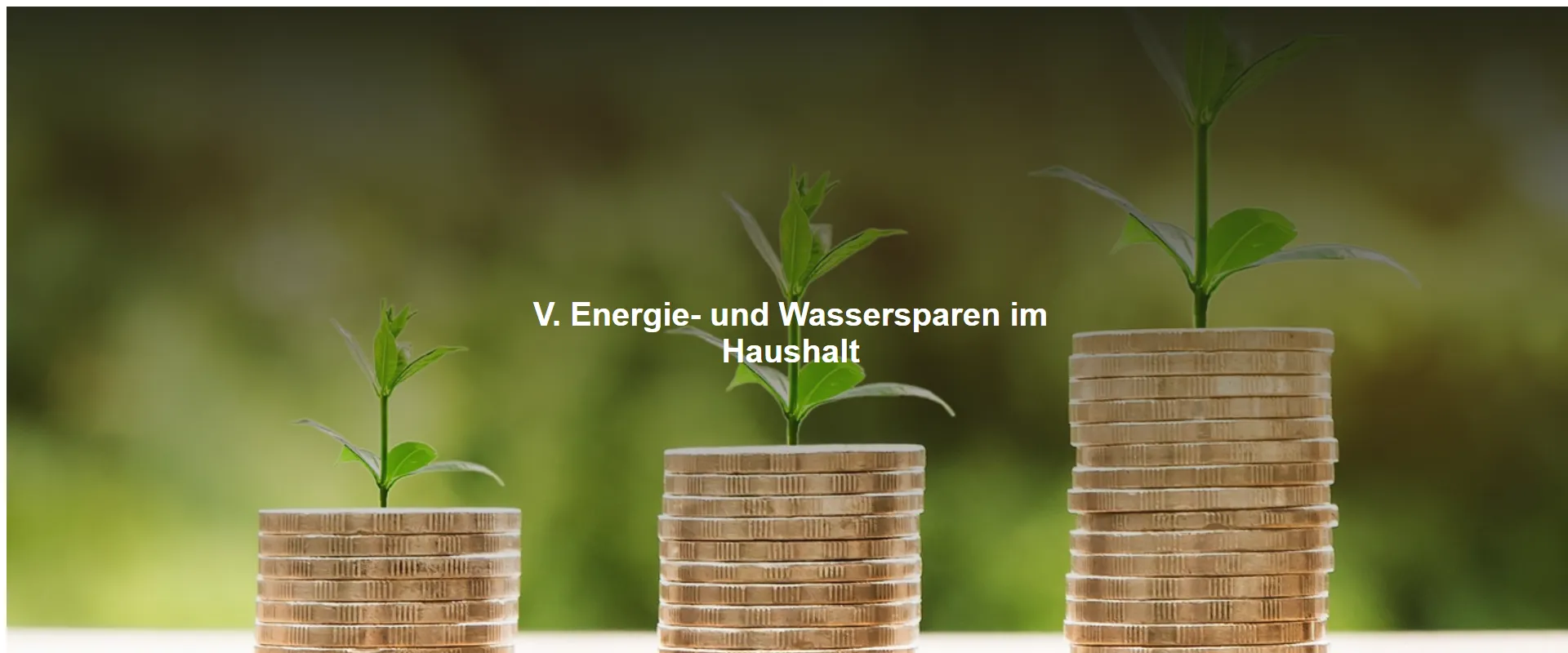 Energie- und Wassersparen im Haushalt