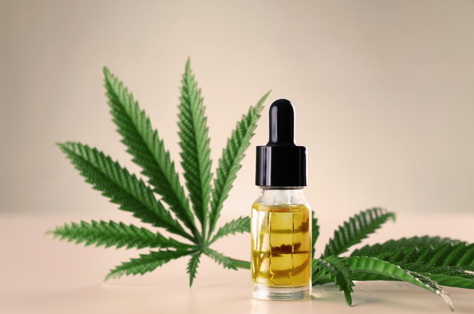 Alles über CBD – Anwendung und Wirkung