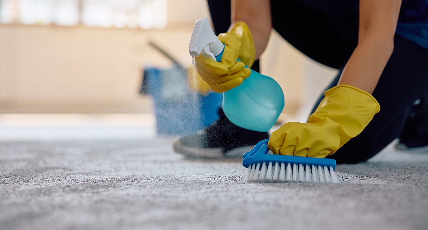 Wie man das Haus für den Frühling vorbereitet: Teppichreinigung, Polsterreinigung und Ozonbehandlung