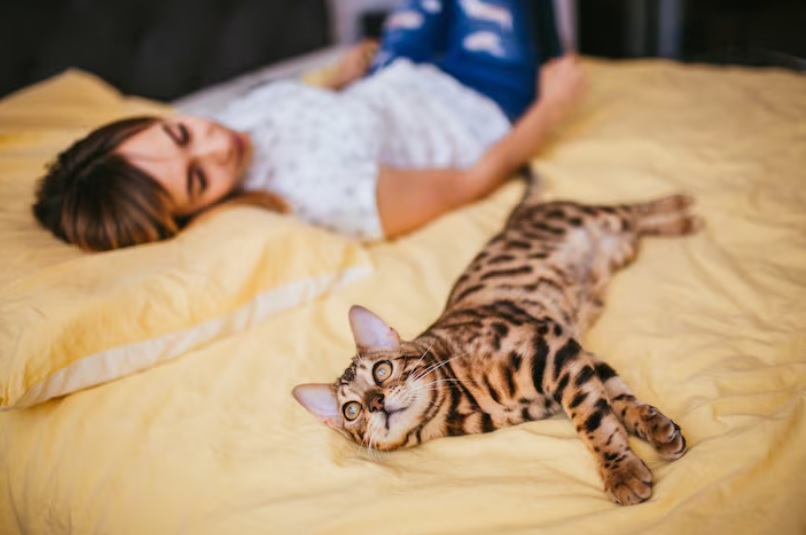 Was verrät die Schlafposition einer Katze über ihr Wohlbefinden?